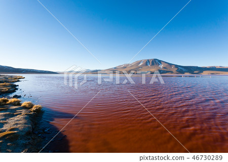 Laguna Colorada view, Bolivia Laguna Colorada view, Bolivia 46730289