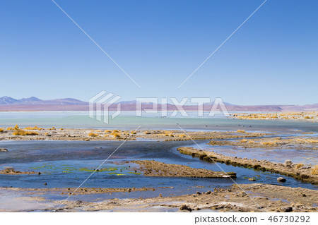 Bolivian lagoon landscape,Bolivia 46730292