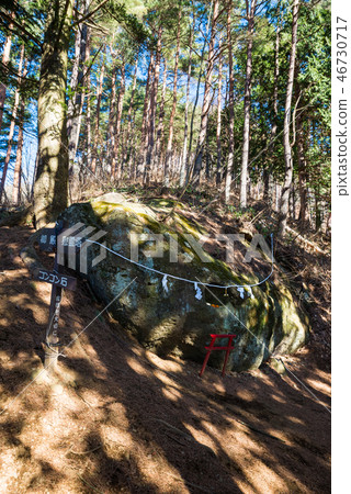 新村山步道（山梨縣富士吉田市）*照片攝於2016年12月 46730717