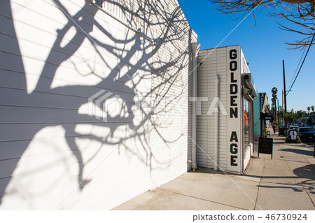 Shadow of a tree on a white wall Shadow of a tree on a white wall 46730924