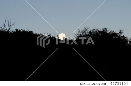 Full moon at dawn 46731104