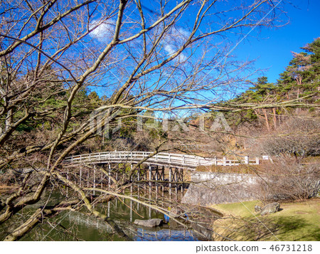 [Izu City, Shizuoka Prefecture] Winter Japanese garden scenery [Shuzenji Rainbow Village] 46731218