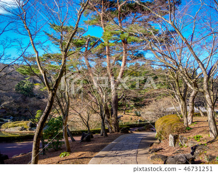 [靜岡縣伊豆市]冬季日本庭園風光[修禪寺彩虹村] 46731251