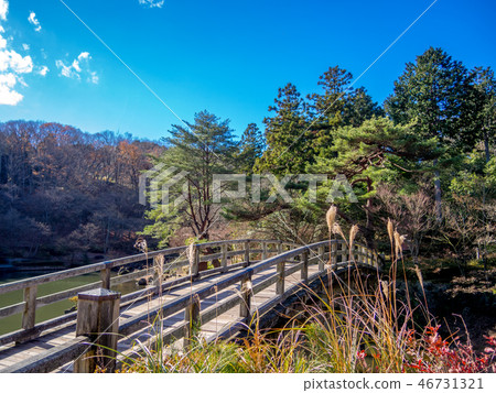 [Izu City, Shizuoka Prefecture] Winter Japanese garden scenery [Shuzenji Rainbow Village] 46731321