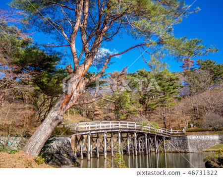 [Izu City, Shizuoka Prefecture] Winter Japanese garden scenery [Shuzenji Rainbow Village] 46731322