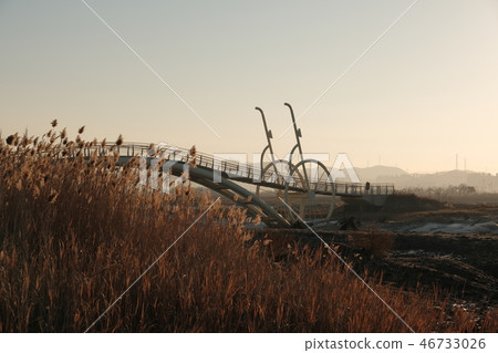 微腿（自行車橋）日出景觀 46733026