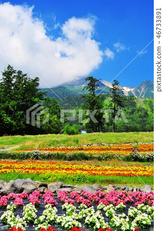 在Mitakeyama Ropeway Sanrei Station(Kanose)前的花田和禦嶽山 在Mitakeyama Ropeway Sanrei Station(Kanose)前的花田和禦嶽山 46733891