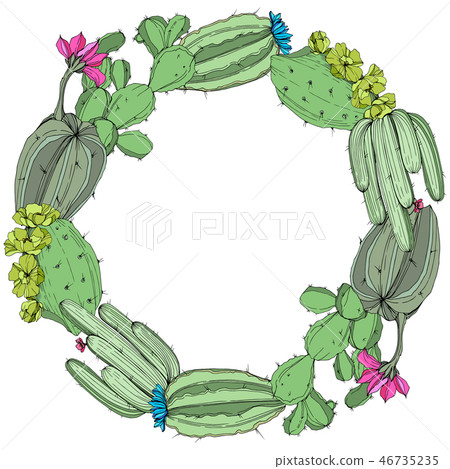 Vector Green cactus floral botanical flower. Engraved ink art. Frame border ornament square. Vector Green cactus floral botanical flower. Engraved ink art. Frame border ornament square. 46735235
