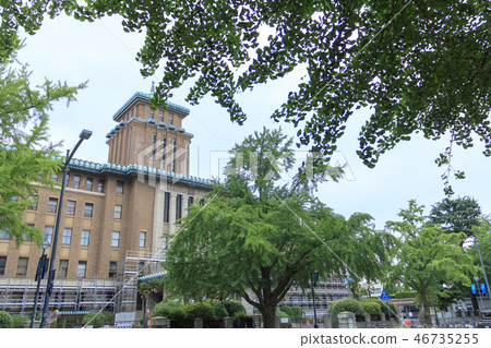 日本大道 46735255