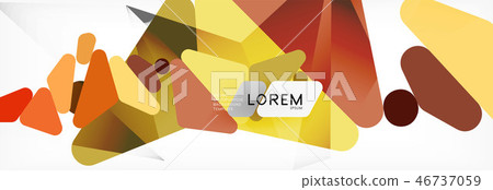 Mosaic triangular low poly style abstract geometric background. Polygonal vector. Abstract white 46737059