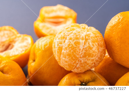 橘水水果食品靛藍背景橘紅色背景 橘水水果食品靛藍背景橘紅色背景 46737227