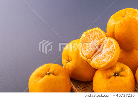 橘水水果食品靛藍背景橘紅色背景 橘水水果食品靛藍背景橘紅色背景 46737236