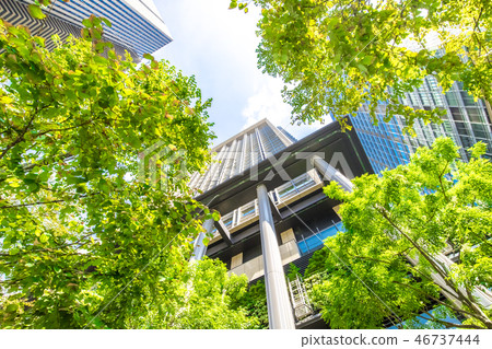許多綠色辦公室街道風景 46737444