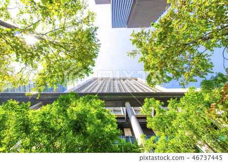許多綠色辦公室街道風景 46737445