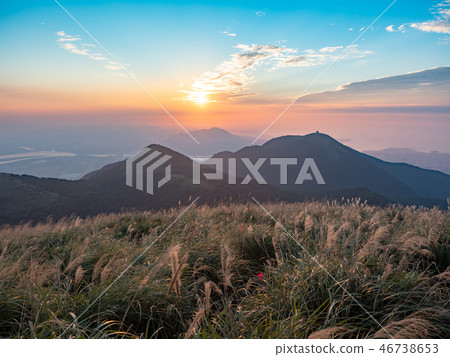 grass hill in autumn 46738653