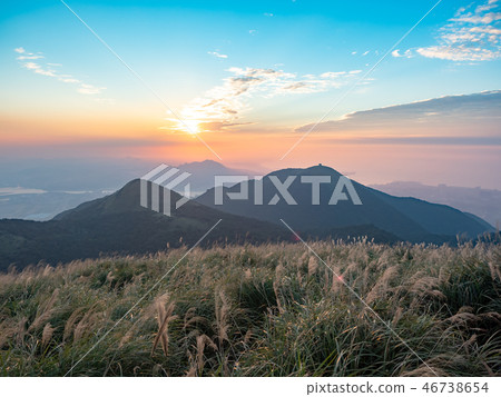 grass hill in autumn 46738654