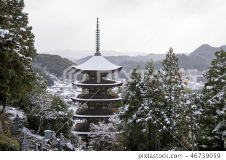 Shoko-ji寺雪景 Shoko-ji寺雪景 46739059