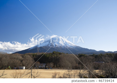 Fuji seen from Narusawa 46739414