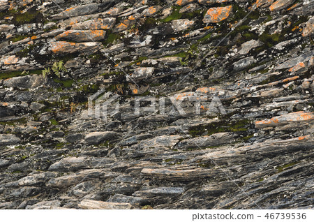 Textured basalt background thin stone fibers in the cut. natural volcanic formations 46739536