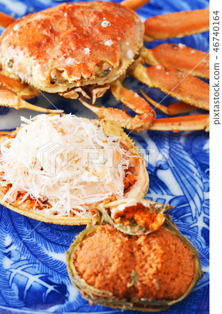 In the taste of winter In the taste of winter 46740164