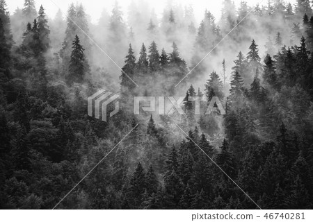 Misty mountain landscape 46740281