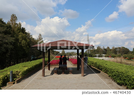 Saitama City Flower Hill Park Saitama City Flower Hill Park 46740430