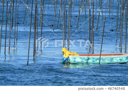 大牟田市Miike港口Norito船， 46740548