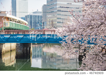 [Ookagawa Harmonica Yokocho Somei Yoshino] 46740909