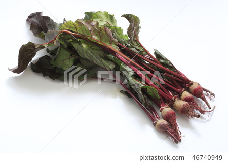 Beet root vegetables Beet root vegetables 46740949