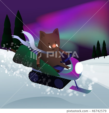 cute boar on a snowmobile rides 46742579