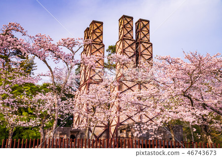[Shizuoka Prefecture] World Heritage, Nirayama reverberatory furnace, cherry blossom season 46743673