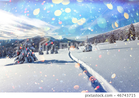 Fantastic winter landscape 46743715