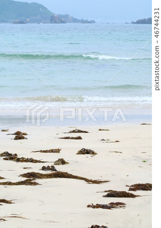 海灘白色海灘在海灘洗滌了 海灘白色海灘在海灘洗滌了 46744231
