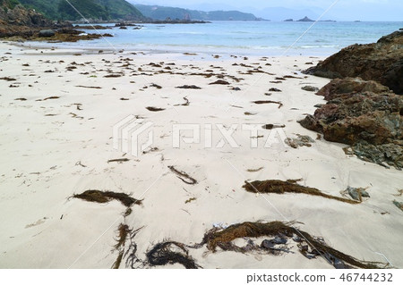 海灘白色海灘在海灘洗滌了 海灘白色海灘在海灘洗滌了 46744232