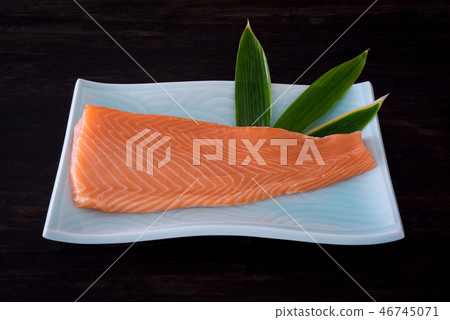 三文魚片 三文魚片 46745071