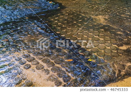 stone carving in the river at Kbal Spean 46745333