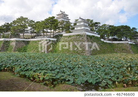 Kumamoto · Shimabara trip Kumamoto · Shimabara trip 46746600