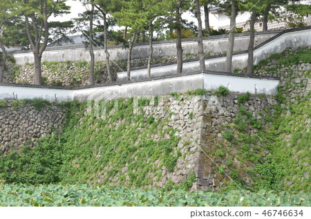 熊本·島原之旅 46746634