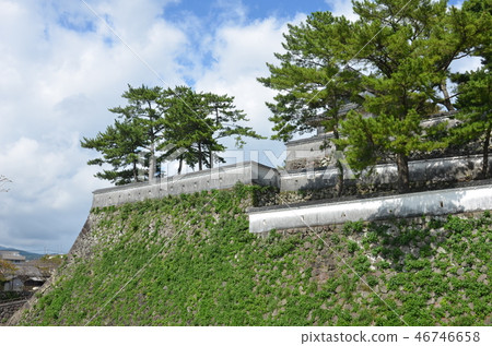 Kumamoto · Shimabara trip 46746658