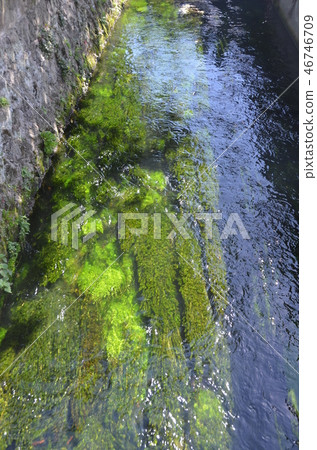 熊本·島原之旅 46746709