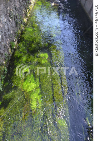 Kumamoto · Shimabara trip 46746710