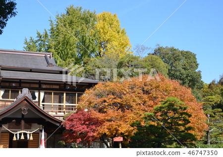 水前寺上十園 水前寺上十園 46747350