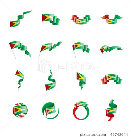Guyana flag, vector illustration on a white background 46748644
