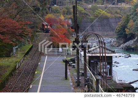 Toroko Hozukyo站Torokko火車[京都S峨野鐵路] 46748759