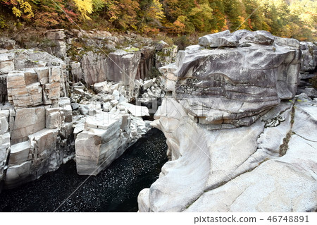 Kamimatsucho睡覺的地板 46748891