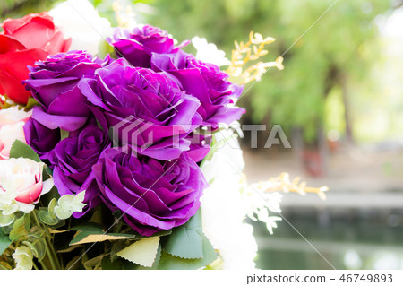 Beautiful rose of artificial flowers 46749893