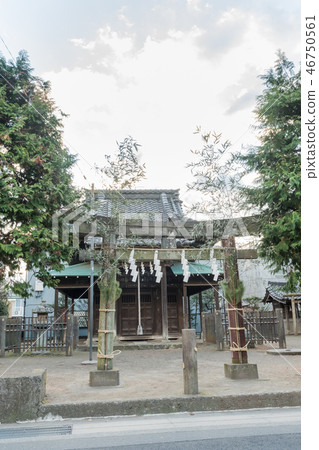 鎌倉和柏市神社 鎌倉和柏市神社 46750561