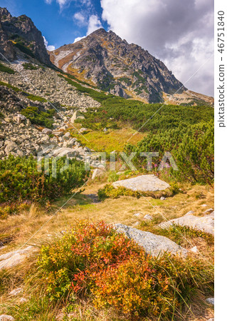 Mountain landscape, High Tatras National Park. Mountain landscape, High Tatras National Park. 46751840