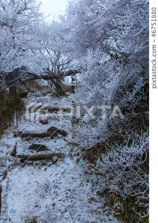 Mt. Tayomi的化石冰[長崎縣雲仙市] 46751880