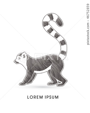 Lemur side view graphic vector. Lemur side view graphic vector. 46752859